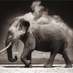 ‘On This Earth’ by Nick Brandt