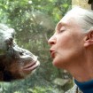 Jane Goodall