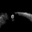 Hannes Lochner Wildlife and Nature Photography
