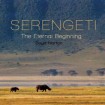 ‘Serengeti – The Eternal Beginning’ by Boyd Norton