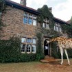 Giraffe Manor