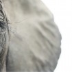 Tim Flach Photography