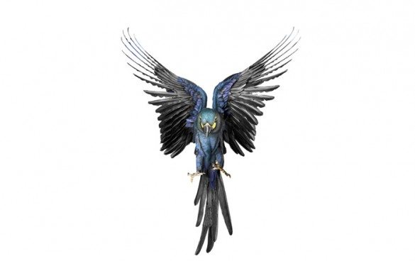 mark zuckerman, creatures, birds, photography, wildlife