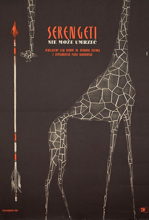 serengeti, serengeti shall not die, bernard grzimek, polish poster, 1963, roman opalka, west germany, 1959