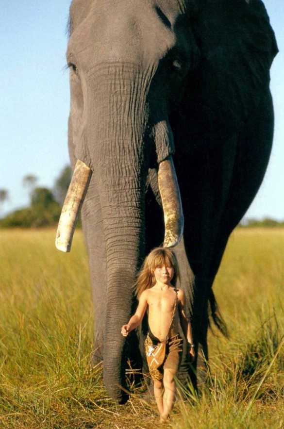 Tippi Benjamine Okanti Degré, French wildlife photographers, Alain Degré, Sylvie Robert, Namibia, Himba tribespeople, Kalahariwild animals, born free, abu elephant, bushmen, 